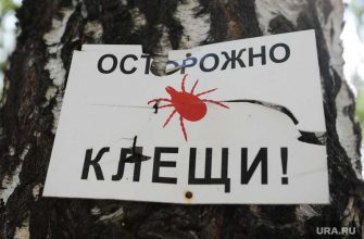 департамент здравоохранения Тюменской области