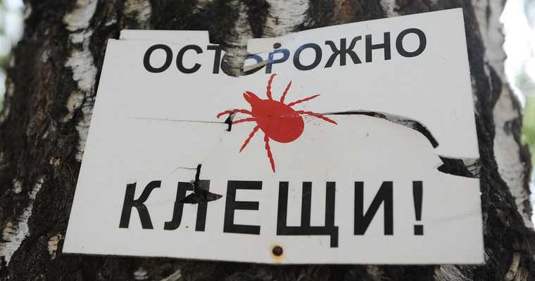 департамент здравоохранения Тюменской области