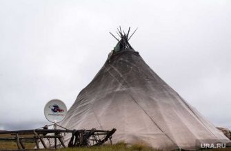 Депутаты ЯНАО приняли закон о новых льготах аборигенам