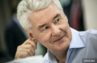 правительство навальный приговор дворец расследования