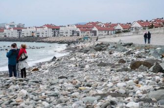 НДС для бизнеса