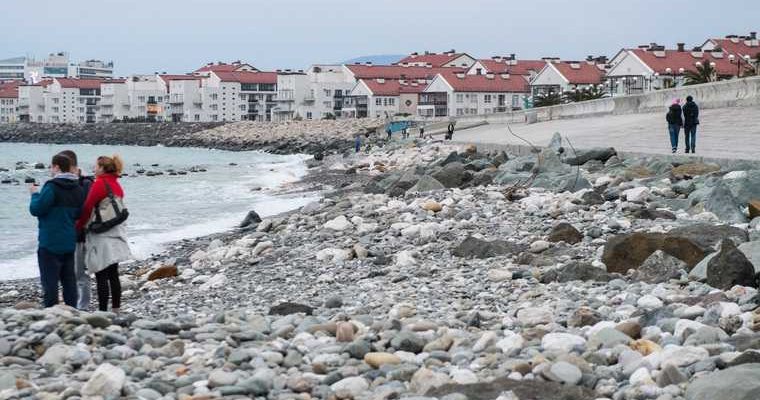 НДС для бизнеса