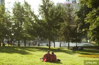 праздничные дни