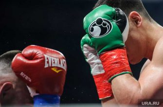 боксерский бой Рамзан Кадыров сын Адам Аслан Биттиров соцсети