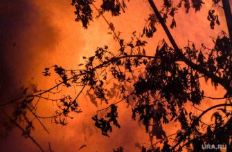 пожар в заповеднике