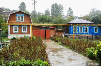 штрафы для дачников