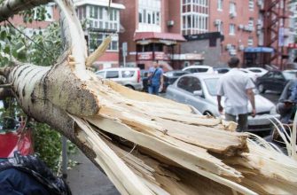Челябинская область МЧС штормовое предупреждение ветер