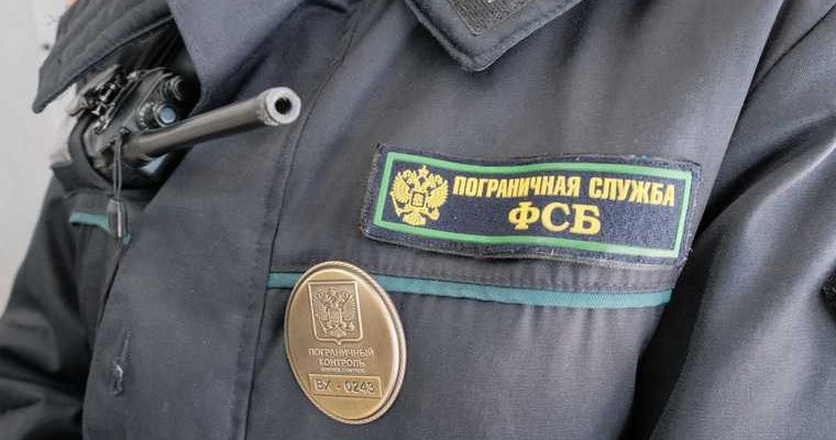 пограничники на границе