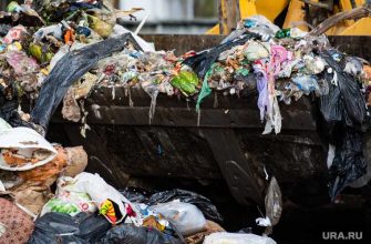 коммунальщики вывоз ТКО Чайковский