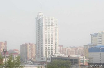 Лесные пожары смог Тюмень Роспотребнадзор