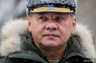 Шойгу и Фальков договорились вместе выполнить поручение Путина