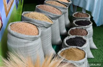 Челябинск дом престарелых проверка Россельхознадзор крупа каша ГОСТ