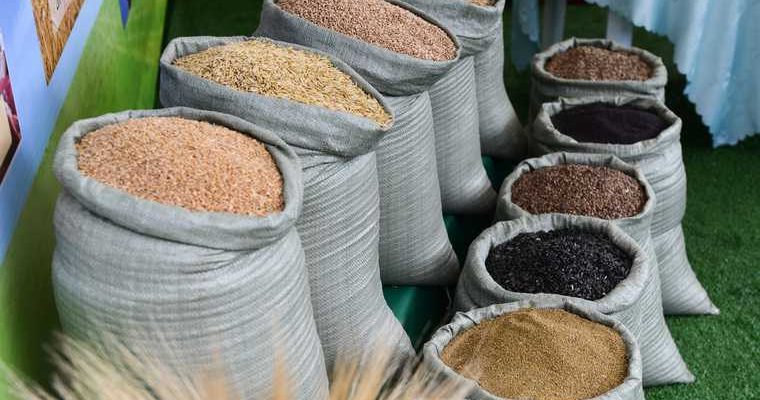 Челябинск дом престарелых проверка Россельхознадзор крупа каша ГОСТ