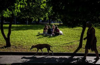 коронавирус