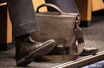 праймериз Единой России