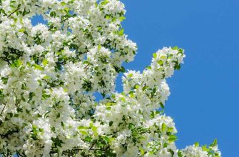 вспышка аллергии Екатеринбург