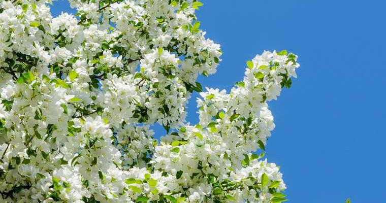 вспышка аллергии Екатеринбург