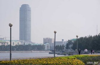 лесные пожары Тюменская область