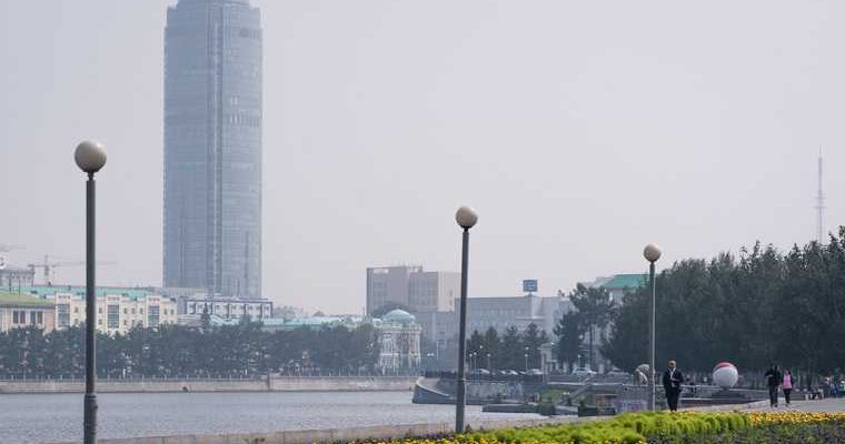 лесные пожары Тюменская область