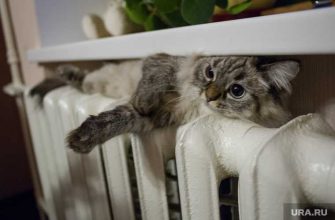 Госдума новые тарифы ЖКХ