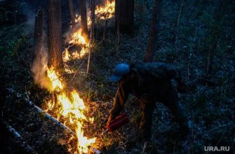 лесные пожары штрафы за поход в лес Свердловская область