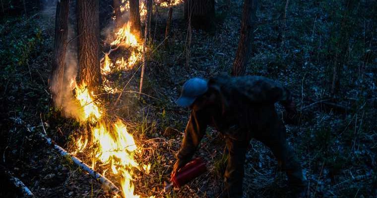 лесные пожары штрафы за поход в лес Свердловская область