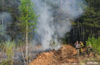 запрещено посещать лес лесные пожары Свердловская область указ губернатора