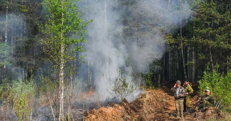 запрещено посещать лес лесные пожары Свердловская область указ губернатора