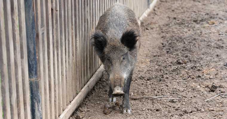 Лабытнанги