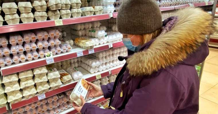 цены на яйца