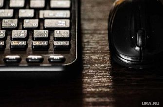 хованский блогер задержание квартира фото