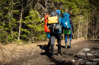 Курганская область