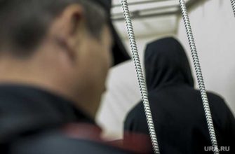 Зеленцов банда следила за политиками бизнесменами приговор