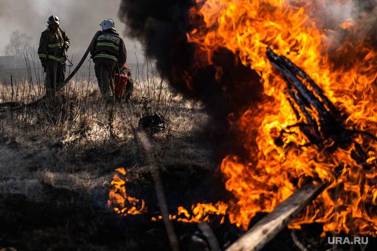 почему горят леса в Тюменской области