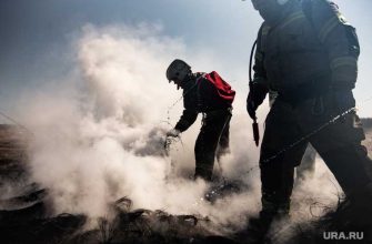 Челябинск пожары тополиный пух обращение возгорание пожары