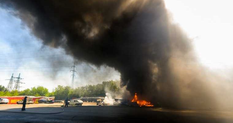 В Екатеринбурге из-за тополиного пуха горит ЦПКиО