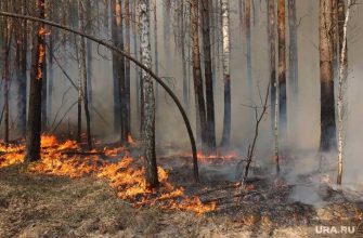 число возгораний в ХМАО