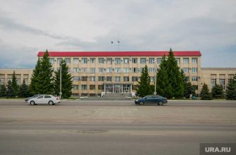 выборы главы Шадринска