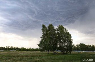 Гидрометцентр России Роман Вильфанд