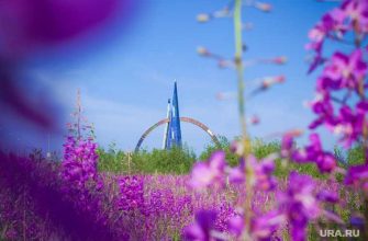 благоустройство Салехарда