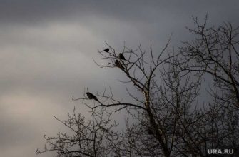 шторм Челябинск