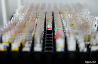 Дарья Горякина