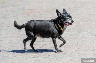 В Гидрометцентре предупредили россиян об опасной погоде