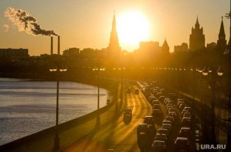 роман вильфанд