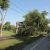 В Сочи упавшее во время урагана дерево убило человека