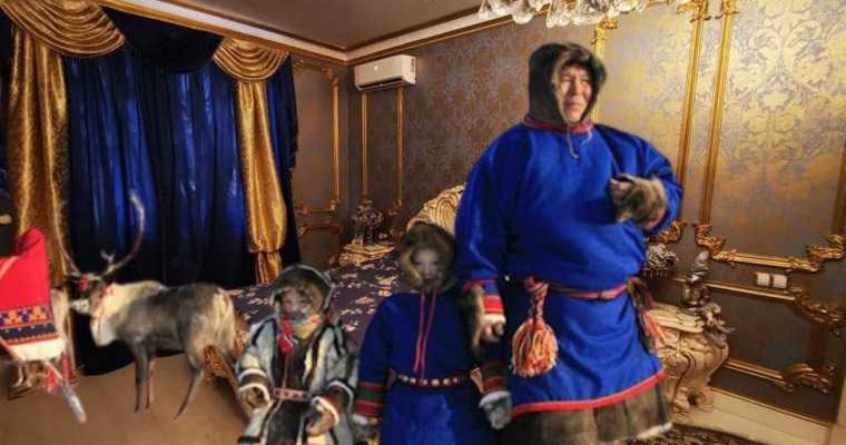 губернатор