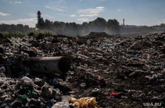 экологические катастрофы