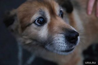 Ханты-Мансийск