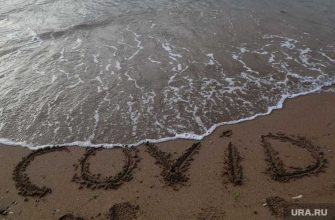 вирусолог Сергей Нетесов