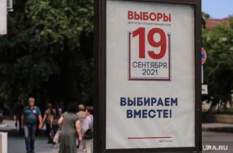 курганское голосование